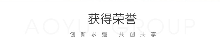 北京奥宇集团