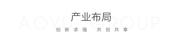 北京奥宇集团